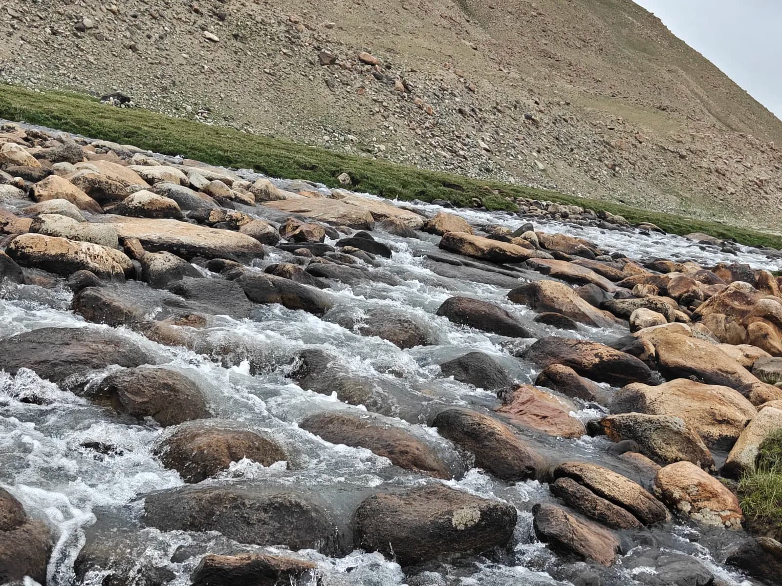 A clear stream rushing over rounded boulders